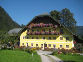 Biobauernhof Hauserbauer, Hintersee, Österreich